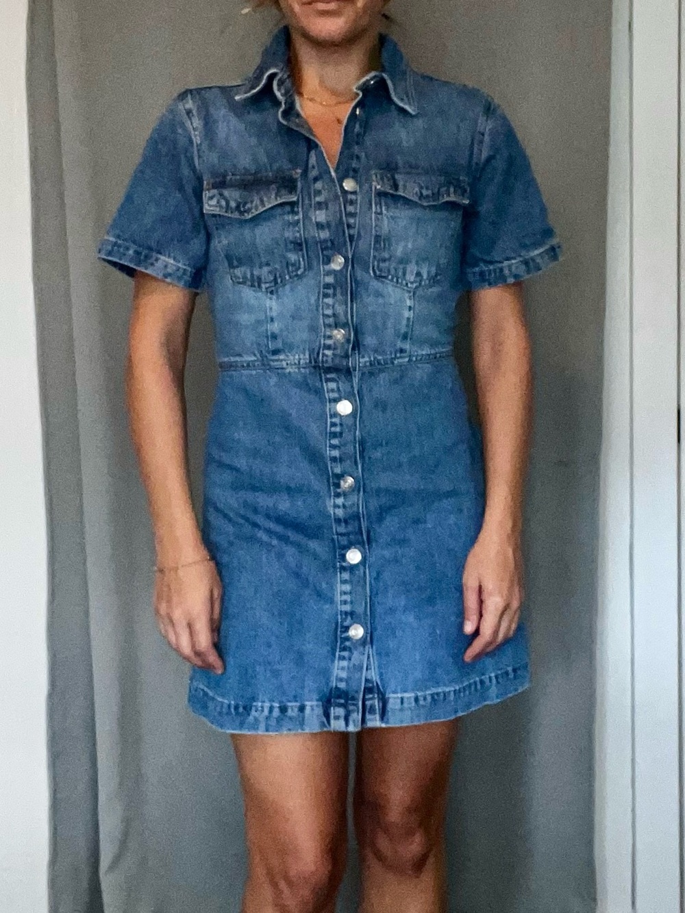 Zara Short-Sleeve Button-Front Denim Mini Dress